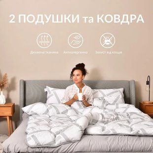 Набір для сну подушки 2шт 50х70 см та ковдра євро 200х220 см 2895544746 фото